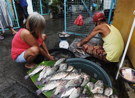 The Fish Vendor, Une Étude Vibrant de la Vie Quotidienne Philippinne!